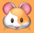 蘑菇17.㏄官方版官方版APP应用