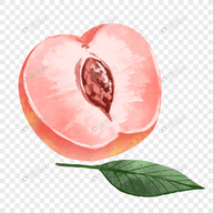 易直播足迹app官方网站最新版
