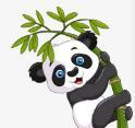 WWW,306se·COM网站APPAPP应用